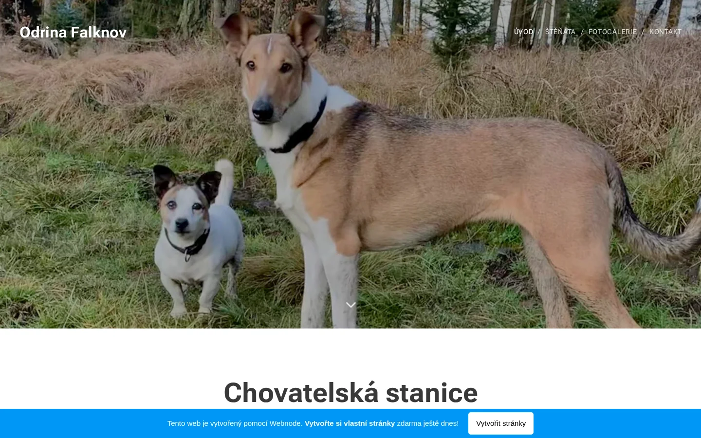 Dita Jiráková - Masáže website