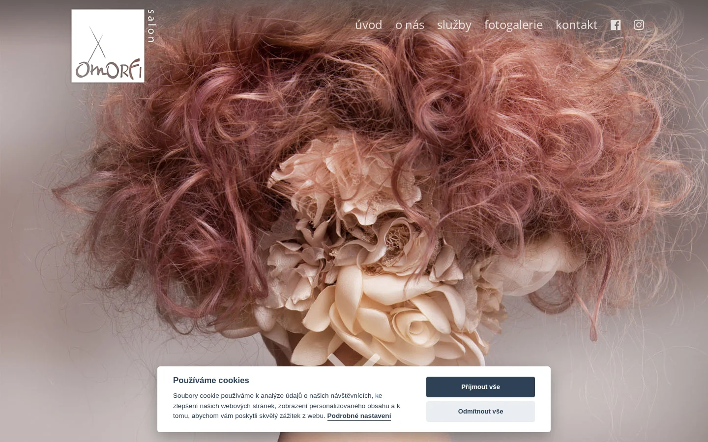 Salon Omorfi website