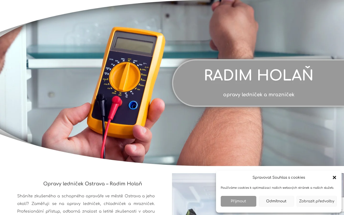 Radim Holaň website