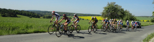 Veloservis Majer logo