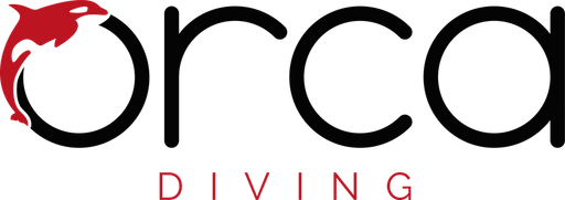 ORCA DIVING logo