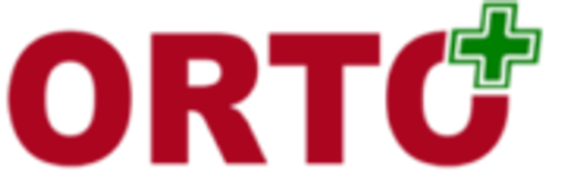 ORTO plus logo