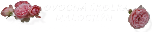 Ovocná školka Malochýn logo