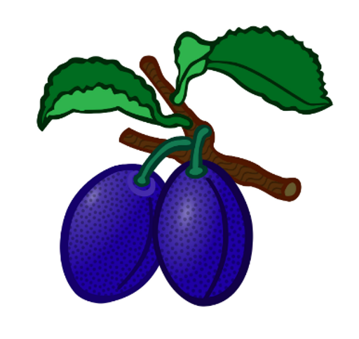 Pálenice Bublík, spol. s r.o. logo