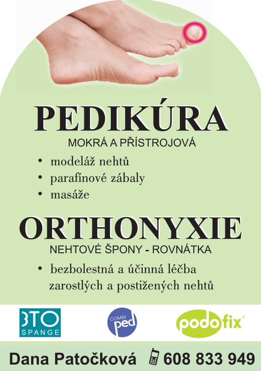 Dana Patočková - Pedikúra - Chomutov logo