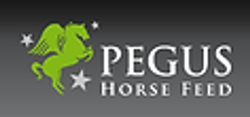 EQUICENTRUM jezdecké potřeby logo