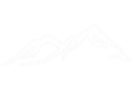 Penzion Dana logo
