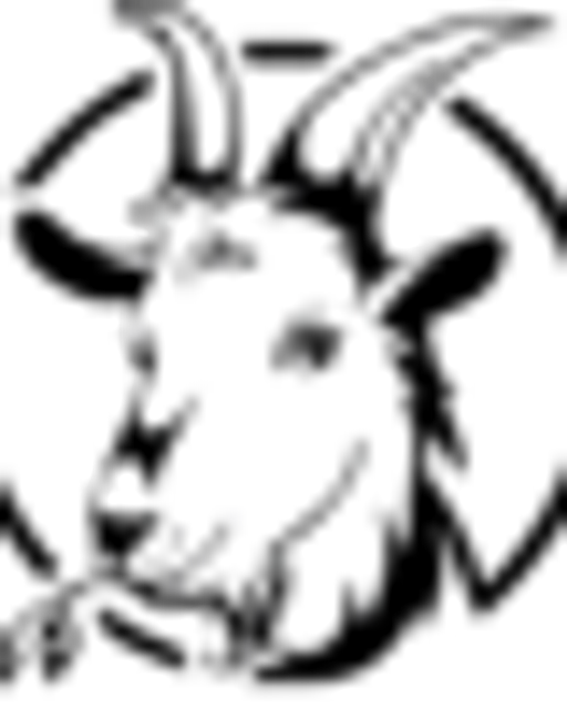 Penzion U Kozy logo