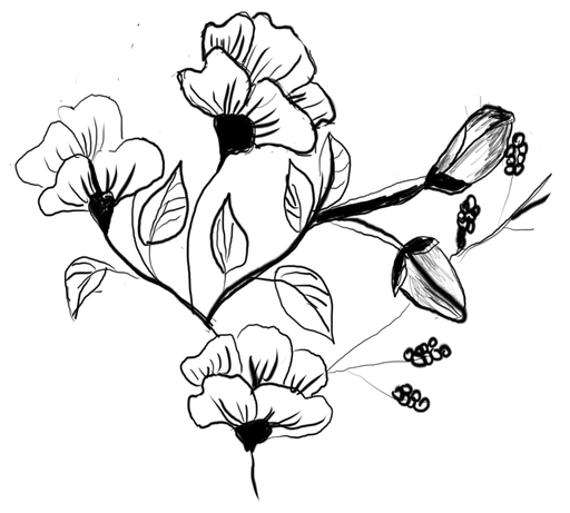 Penzion Zámek Drahonice logo