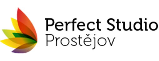 Perfect Studio logo
