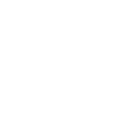PHP STAV, s.r.o. logo