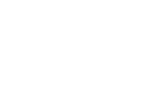 Pila Nýrsko, s.r.o. logo