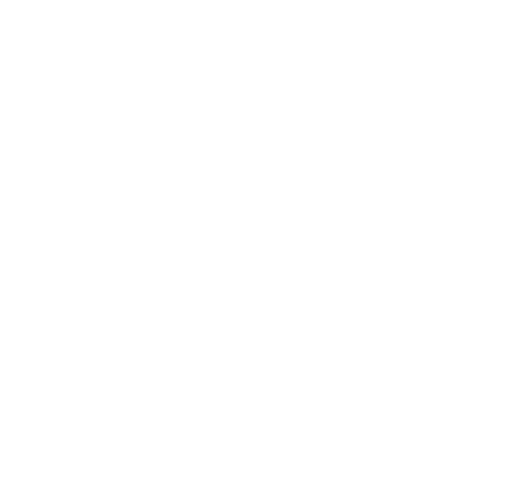 Pila Olešná s.r.o. logo
