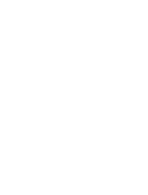 PINNIUM s.r.o. logo