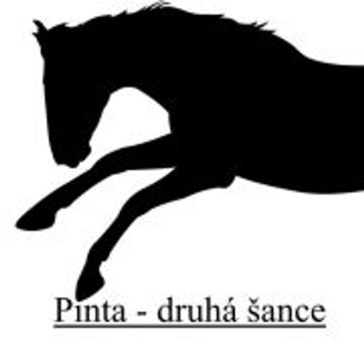 PINTA - DRUHÁ ŠANCE logo
