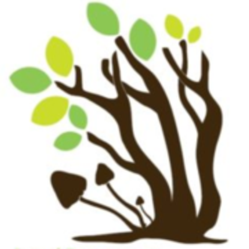 Penzion Pintovka logo