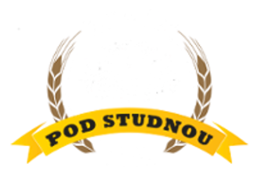 Pivnice a bar pod Studnou logo