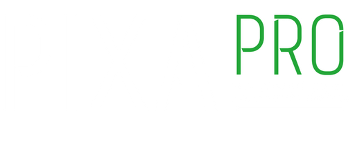 Pixa - pro logo