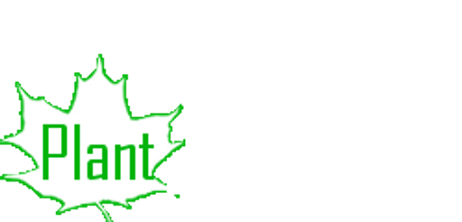 Plantprotein.cz logo