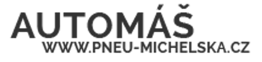 pneu-michelska.cz logo