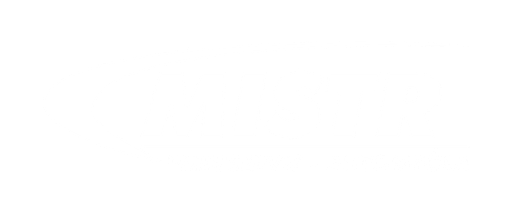 Pneuservis Mistr logo