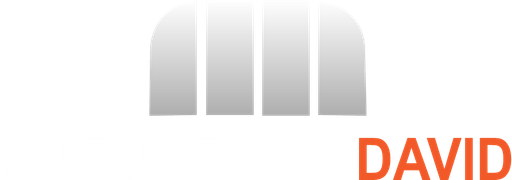 Pneuservis David logo