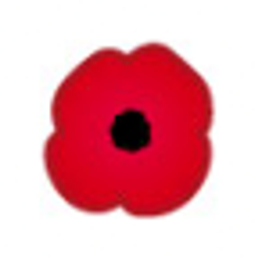 Poppy casting logo