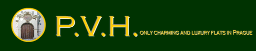 New Saint, s.r.o. logo
