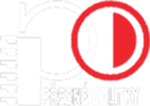 PŘESNÉ ODLITKY s.r.o. logo