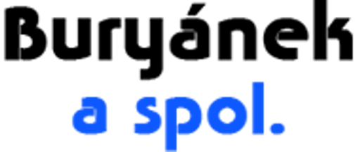 REMO Pavel Buryánek logo