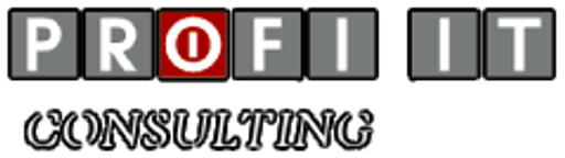 Profi IT Consulting logo