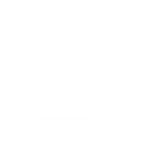 BOOM - Ing. Jiří Rom logo