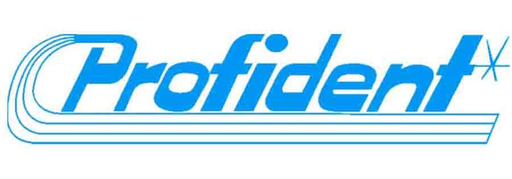 PROFIDENT logo