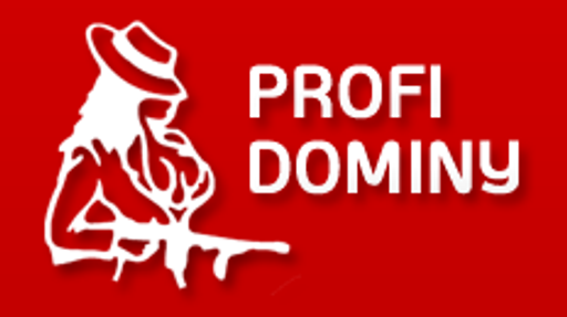 Profidominy.cz logo