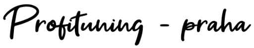 Profi tuning - Michal Vojáček logo
