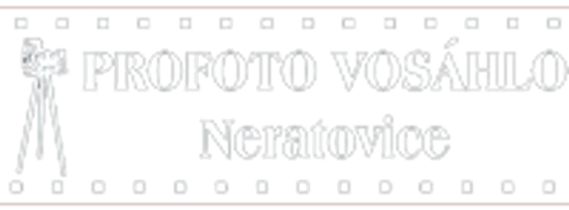 PROFOTO Vosáhlo logo