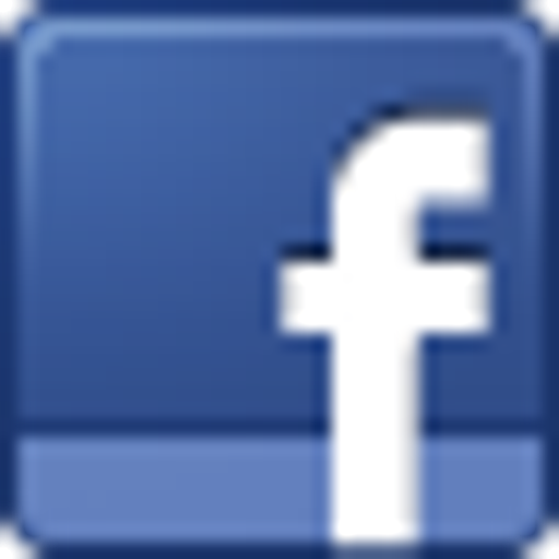 Agentura Bora - pronajemchalup.net logo