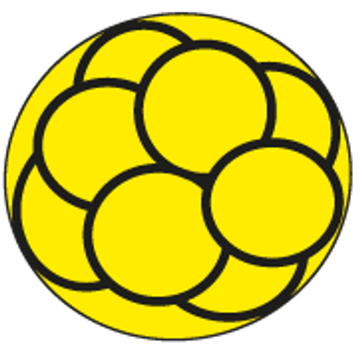 PRONATAL Plus, s.r.o. logo