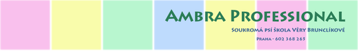 AMBRA Professional logo