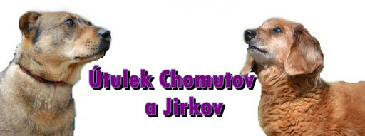 Psí útulek Chomutov logo