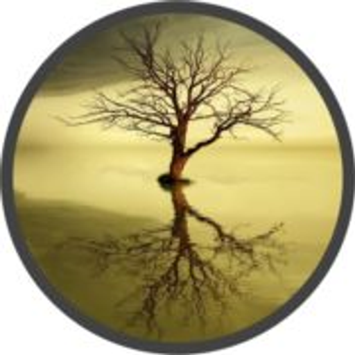 Celostní psychoterapie - PhDr. Irena Balošáková logo