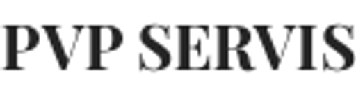 PVP SERVIS logo