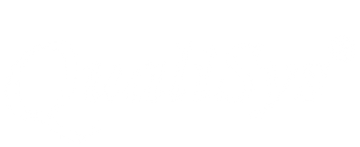 qualisys.cz logo