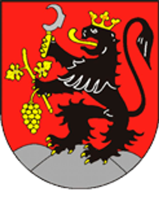 Radějov logo