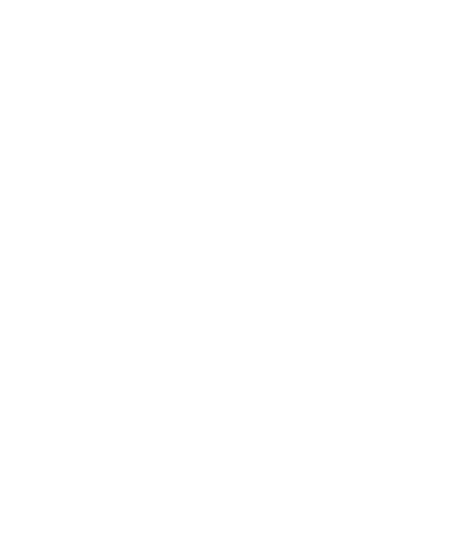 Ortopedická ambulance MUDr. Radek Černý logo