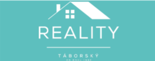 Robert Táborský - Reality11 logo