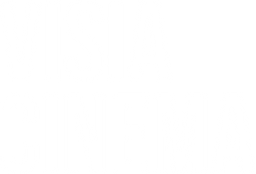 Visia cinema, s.r.o. logo