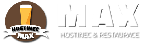 MAX logo