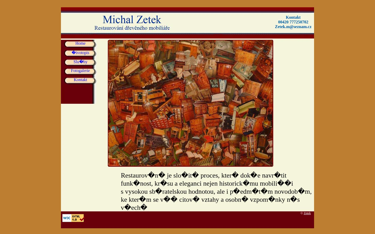 Michal Zetek website