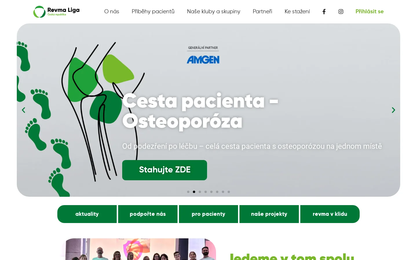 Revma Liga Česká republika, z.s. website